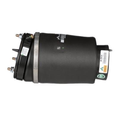 Arnott Air spring – price 843 PLN
