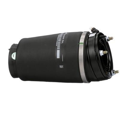 Air spring Arnott A-2933