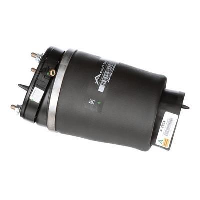 Arnott Air spring – price 843 PLN