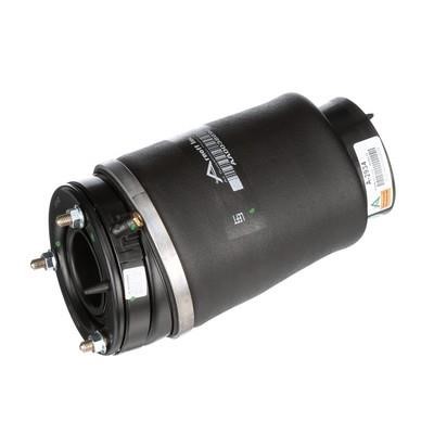 Buy Arnott A2934 – good price at EXIST.AE!