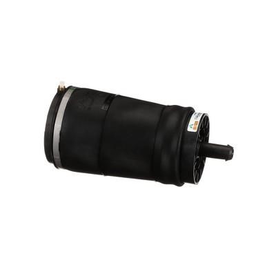Arnott Air Spring, suspension – price [object Object] PLN