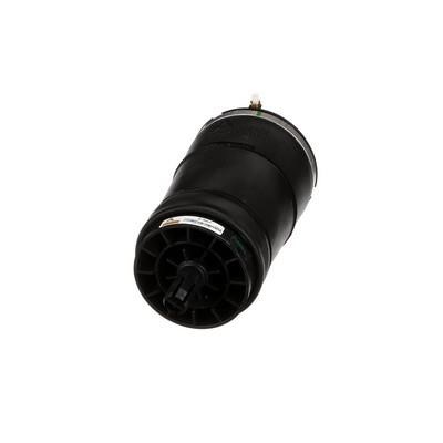 Air Spring, suspension Arnott A-3027