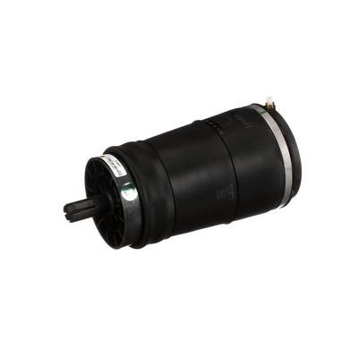 Arnott Air Spring, suspension – price [object Object] PLN