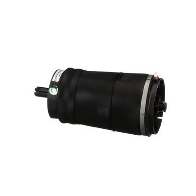Air Spring, suspension Arnott A-3027