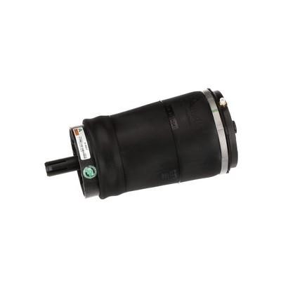Air Spring, suspension Arnott A-3027
