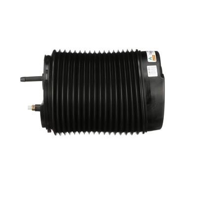 Arnott Air Spring, suspension – price 1508 PLN