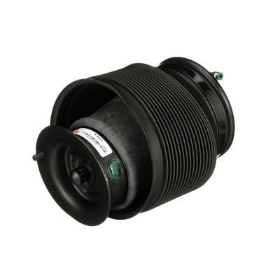 Air bag Arnott A-3331