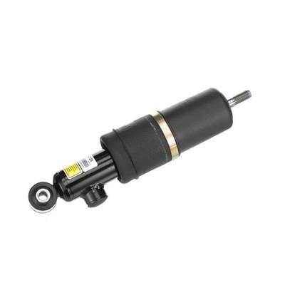 Arnott Rear suspension shock – price 2890 PLN
