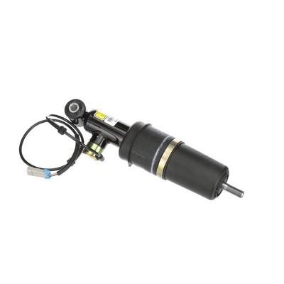 Arnott Rear suspension shock – price 3360 PLN