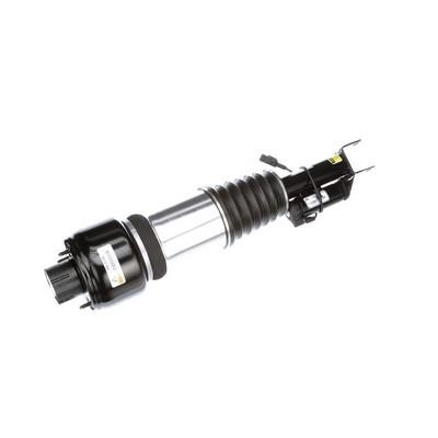 Arnott Front suspension shock absorber – price 769 PLN