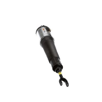 Buy Arnott AS-2560 at a low price in United Arab Emirates!