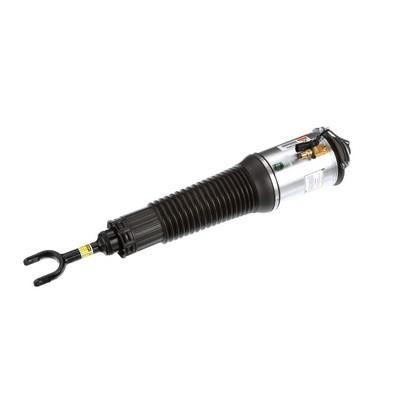 Buy Arnott AS-2560 at a low price in United Arab Emirates!