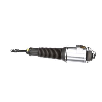 Arnott Front air shock absorber – price 4701 PLN