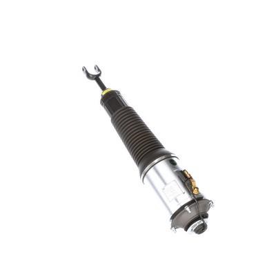 Arnott Front air shock absorber – price 4701 PLN