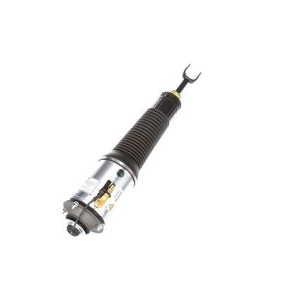 Arnott Front air shock absorber – price 4701 PLN