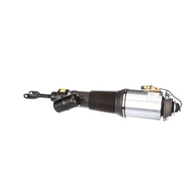 Arnott Front air shock absorber – price [object Object] PLN