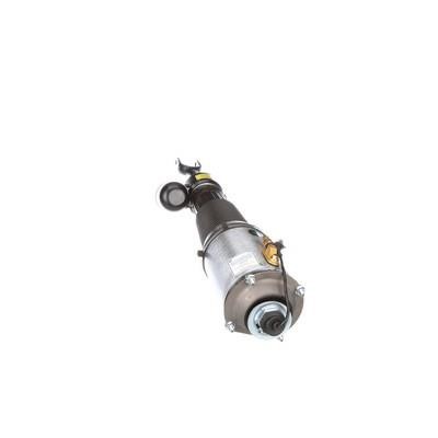 Arnott Front air shock absorber – price [object Object] PLN