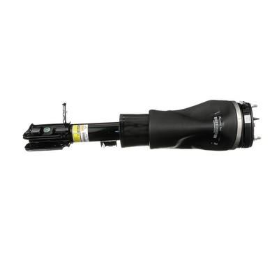 Arnott Front suspension shock absorber – price 7640 PLN