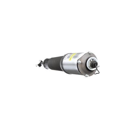 Arnott Front suspension shock absorber – price 3993 PLN