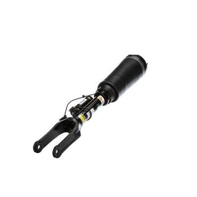 Pneumatic shock absorber Arnott AS-2833