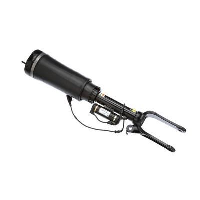 Arnott Pneumatic shock absorber – price 3102 PLN