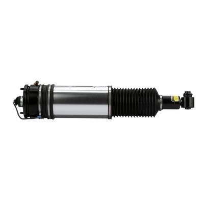 Arnott Rear air shock absorber – price 2471 PLN