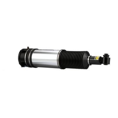 Rear air shock absorber Arnott AS-2979