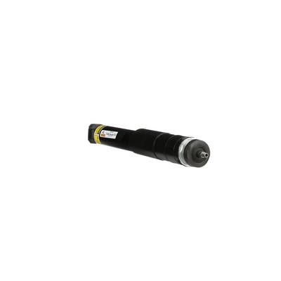 Arnott Rear suspension shock – price 594 PLN