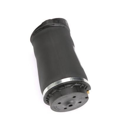 Arnott Air spring – price 829 PLN