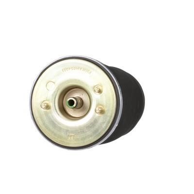 Air Spring, suspension Arnott A-2737