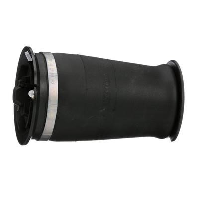 Arnott Cushion – price 742 PLN