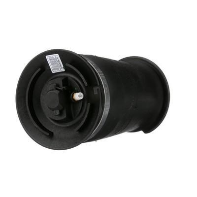 A2755 Arnott Cushion