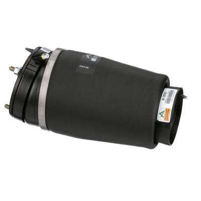 Arnott Air spring – price 843 PLN