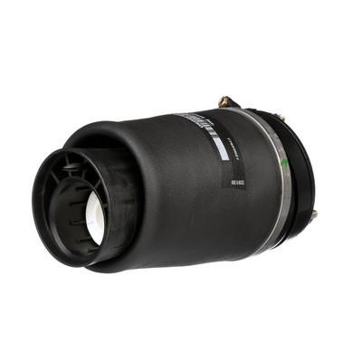 Arnott Air spring – price 843 PLN