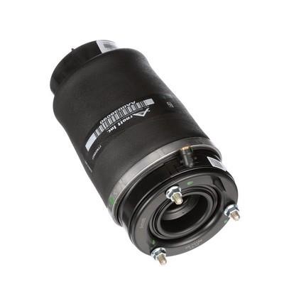 A2934 Arnott Air spring