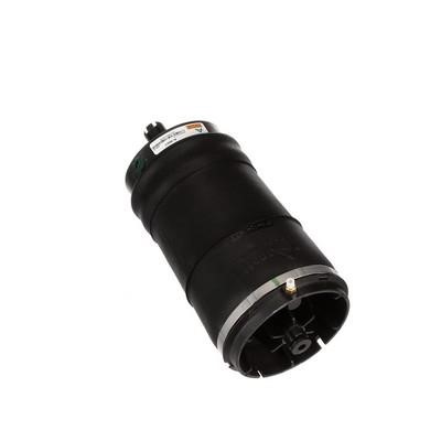 Arnott Air Spring, suspension – price [object Object] PLN