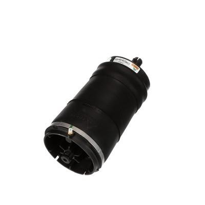 Arnott Air Spring, suspension – price [object Object] PLN