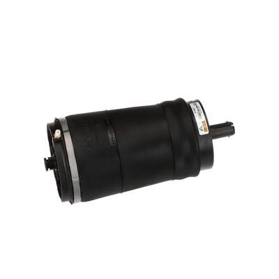 Air Spring, suspension Arnott A-3027