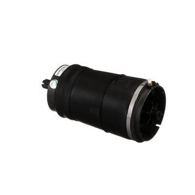 Arnott Air Spring, suspension – price [object Object] PLN