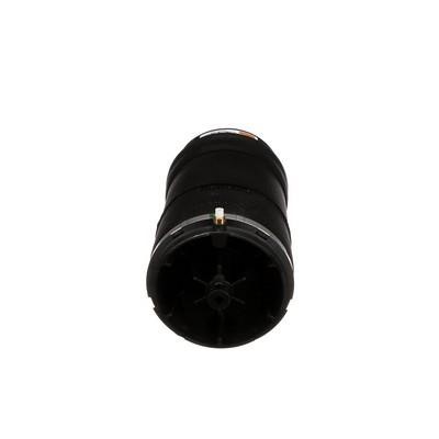 Air Spring, suspension Arnott A-3027