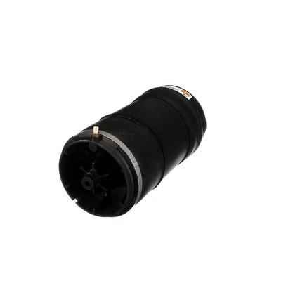 Arnott Air Spring, suspension – price [object Object] PLN