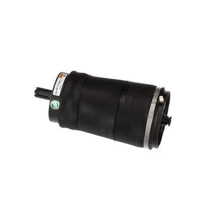 Air Spring, suspension Arnott A-3027