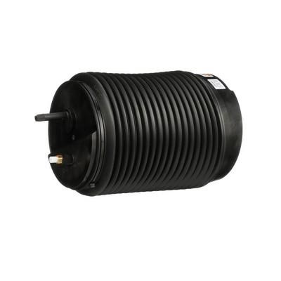Arnott Air Spring, suspension – price 1508 PLN