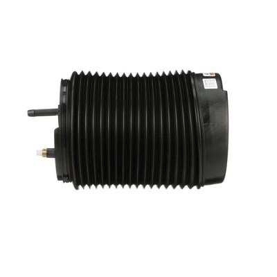 Air Spring, suspension Arnott A-3307