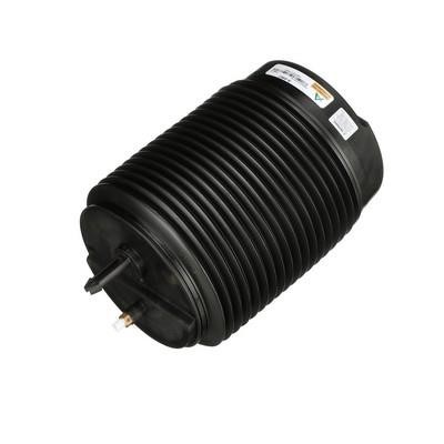 Air Spring, suspension Arnott A-3307