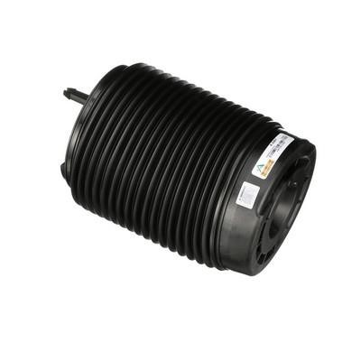 Arnott Air Spring, suspension – price 1508 PLN