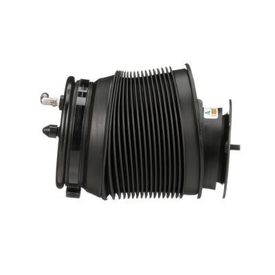 Air bag Arnott A-3331