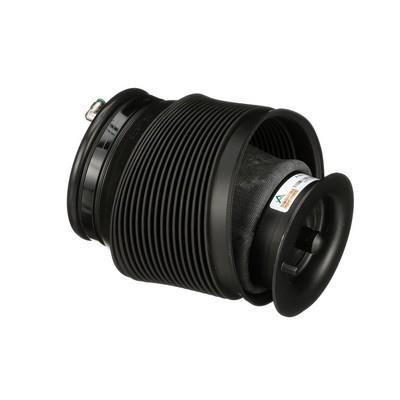 Arnott Air bag – price 1685 PLN