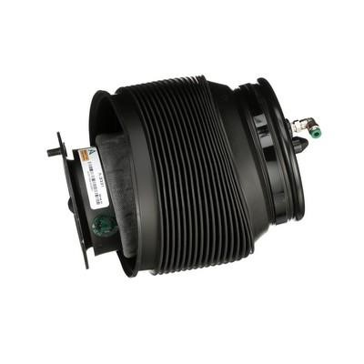 Air bag Arnott A-3331