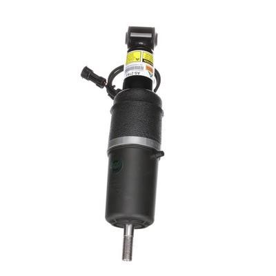 Arnott Rear air shock absorber – price 3402 PLN